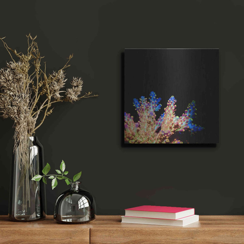 Coral Reef, art mural en métal, H 12 po x l 12 po