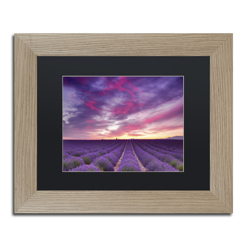 «Pink and Purple», impression sur toile encadrée, H 11 po x l 14 po, Noir, Toile avec cadre argenté