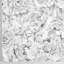 Black and White Peony Floral Wallpaper