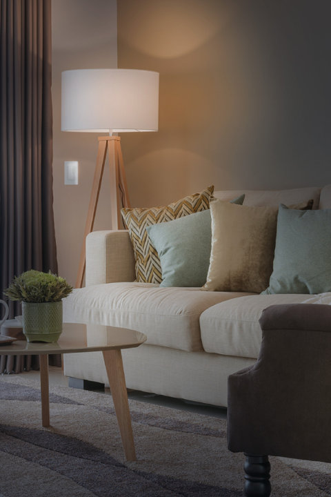 Switches, Dimmers & Outlets