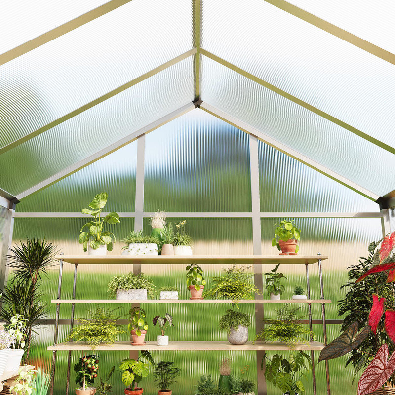 Serre 6 x 8 pi - Panneaux en polycarbonate, cadre en aluminium, porte verrouillable et évent de toit réglable pour la cour, le patio et le jardin