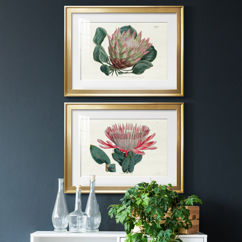 Protea N70 - Ensemble de 2 reproductions de cadres photo, Cadre doré, H 24,5 po x l 37 po x P 1 po