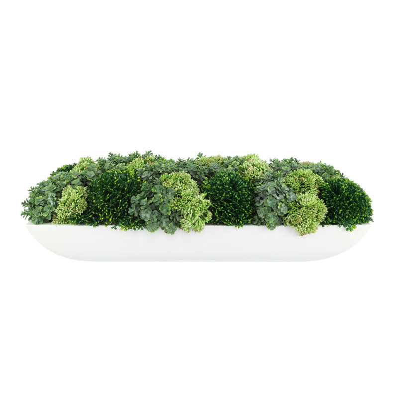Jerez Faux Succulent in Fiberstone Planter, White