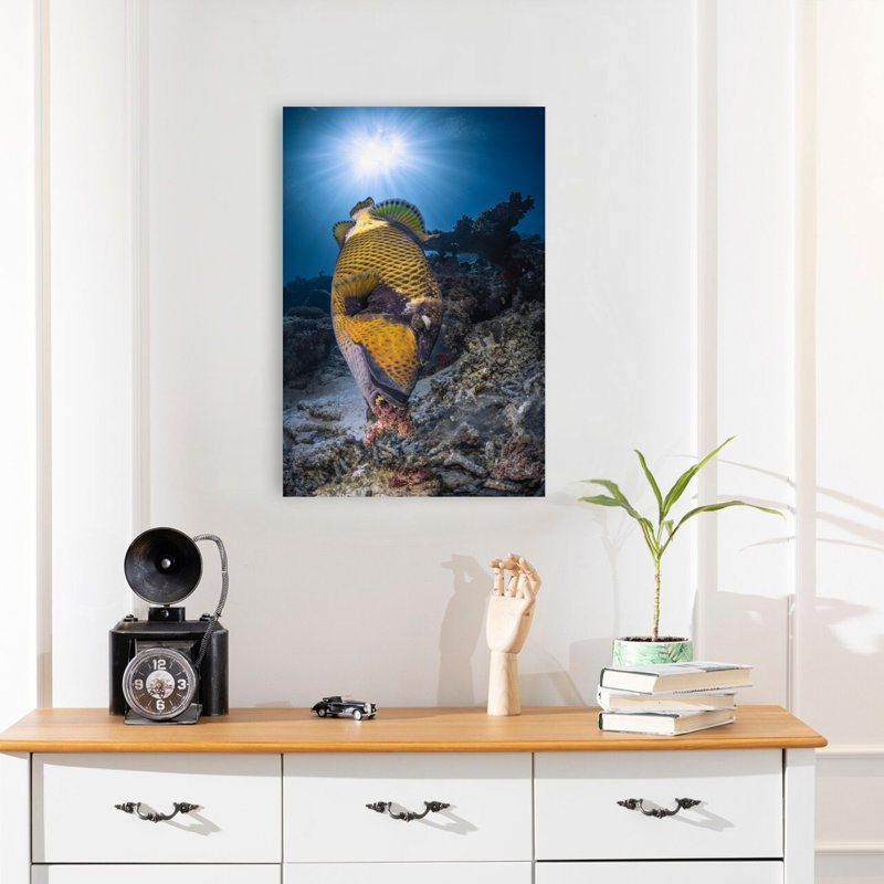 Titan Triggerfish Sunburst Colorful Vibrant Abstract Fish Nature Ocean Wall Art Print 1 Piece Wrapped Canvas Wall Art