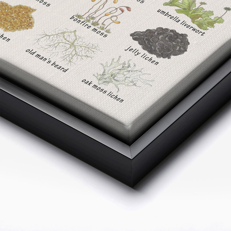 Lichens et mousses, 24"H x 32"W, Canvas, Black Framed