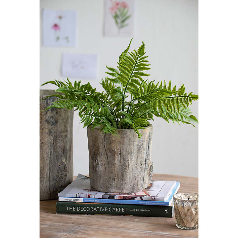 Byromville Pot fleurs en ciment, 6.5" H x 6.5" W x 6.5" D