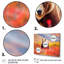 Grizzly en Alaska, paysage I - art mural Alaska-52704442-52704443