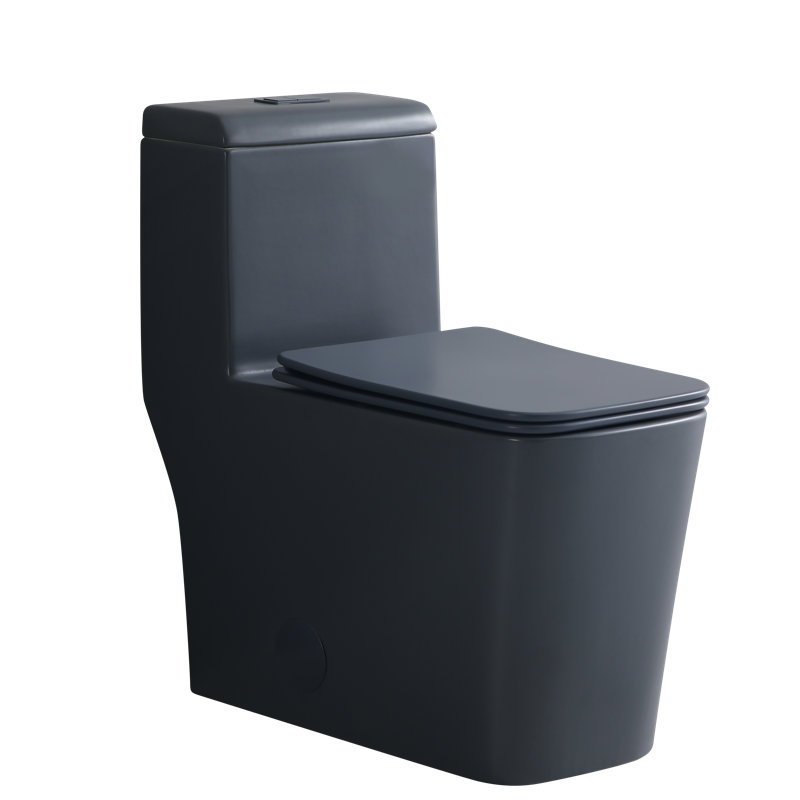 KDK HOME One Piece Toilet Torando Dual Flush Siphon Jet Toilet, Gray