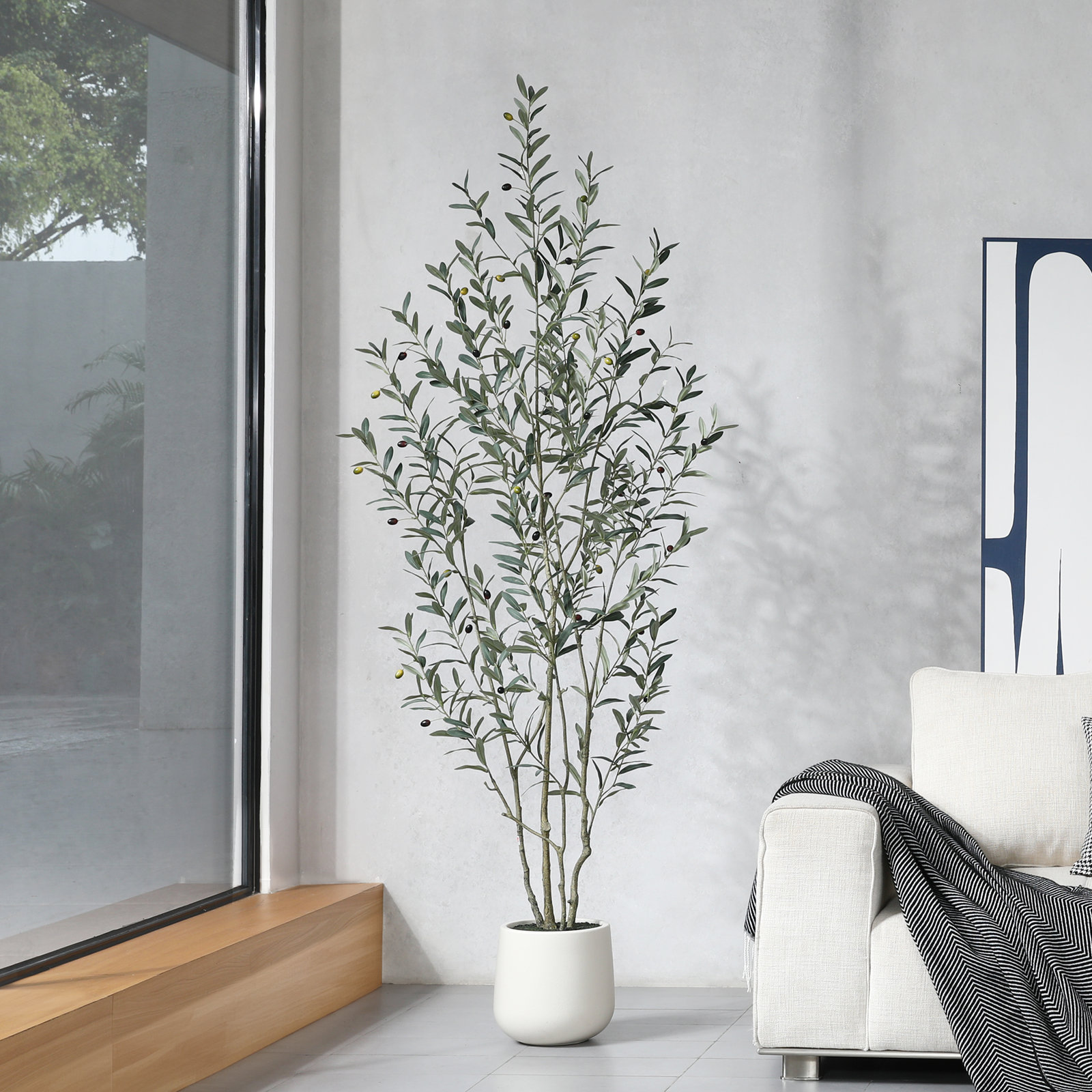 George Olive Tree in Pot, 84" H x 28" W x 28" D