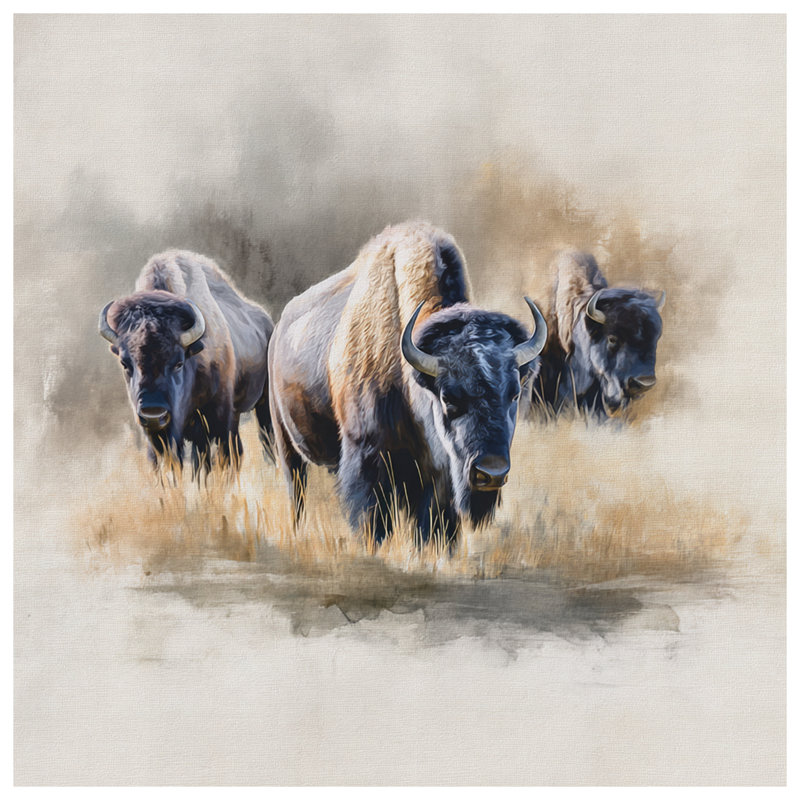 Bison In Grassland Comforter, King