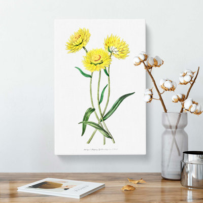 Yellow Starflowers - Wrapped Canvas Print