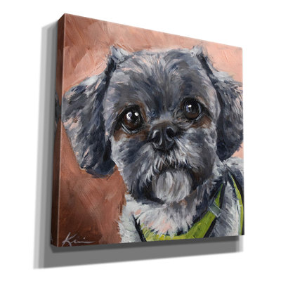 'Dogs Shih Tzu' by Lindsay Kivi Canvas Wall Art