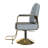Hydraulic Salon Chair 360° Swivel (Single Pack)-1363508703