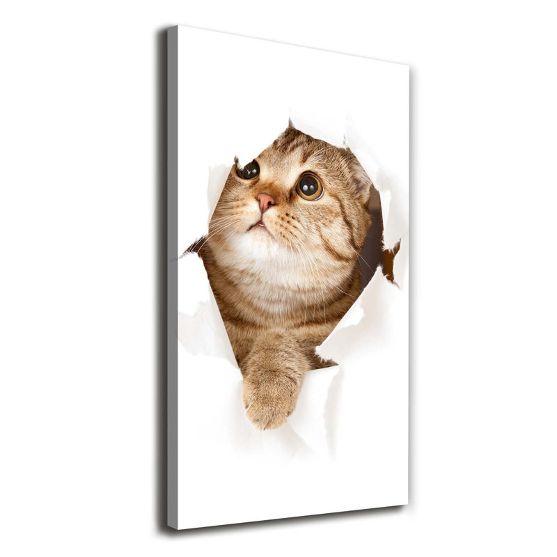 Cat - Wrapped Canvas Print