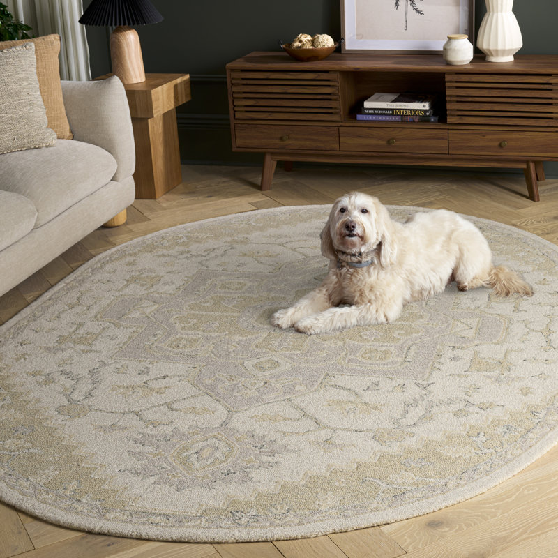 Barden Hand Tufted Oriental Area Rug, Rectangle 3' x 5'