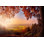 Murale paysage pelez et collez - Délice d'automne
