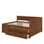 Lit de jour avec tiroirs et tablettes-1148397754-1148397752
