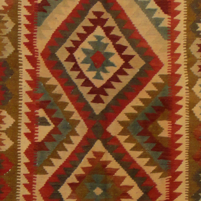 Azpeitia Wool Southwestern Indoor Rug