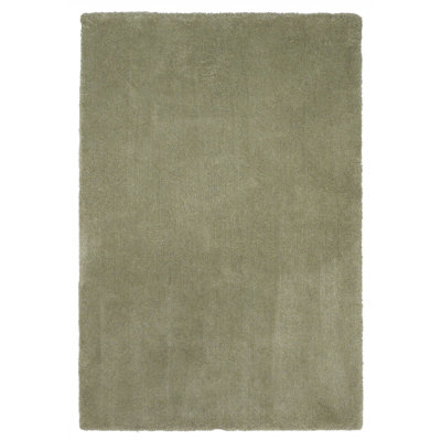 Tapis à poil long d'intérieur vert sauge 2 pi x 4 pi