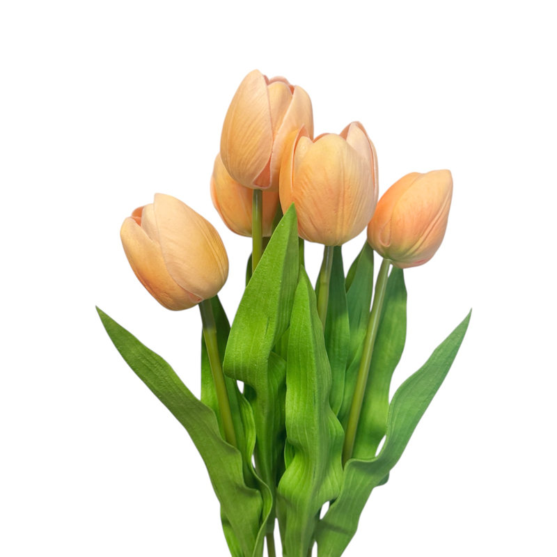Tiges de tulipes, Champagne