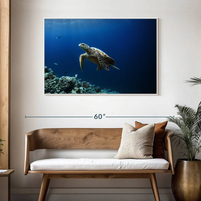 Tortue aventure, 46 po x 31 po, Cadre flottant blanc