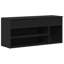 Bhagirath 10 Pair Shoe Storage Cabinet
