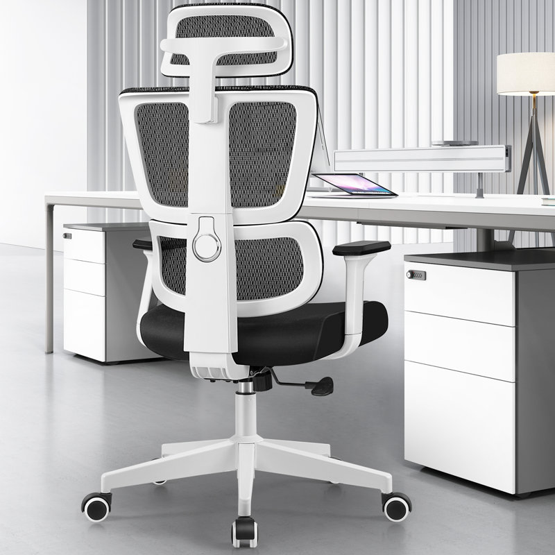 Culbane Ergonomic Mesh Office Chair, White