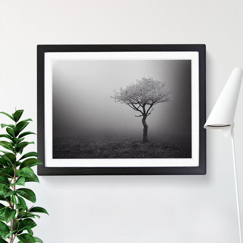 Lonely Tree - Single Picture Frame Print, Black, 46cm H x 64cm W x 2cm D