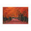 No Frame Print on Canvas-588420531