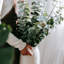Bouquet de buissons d'eucalyptus