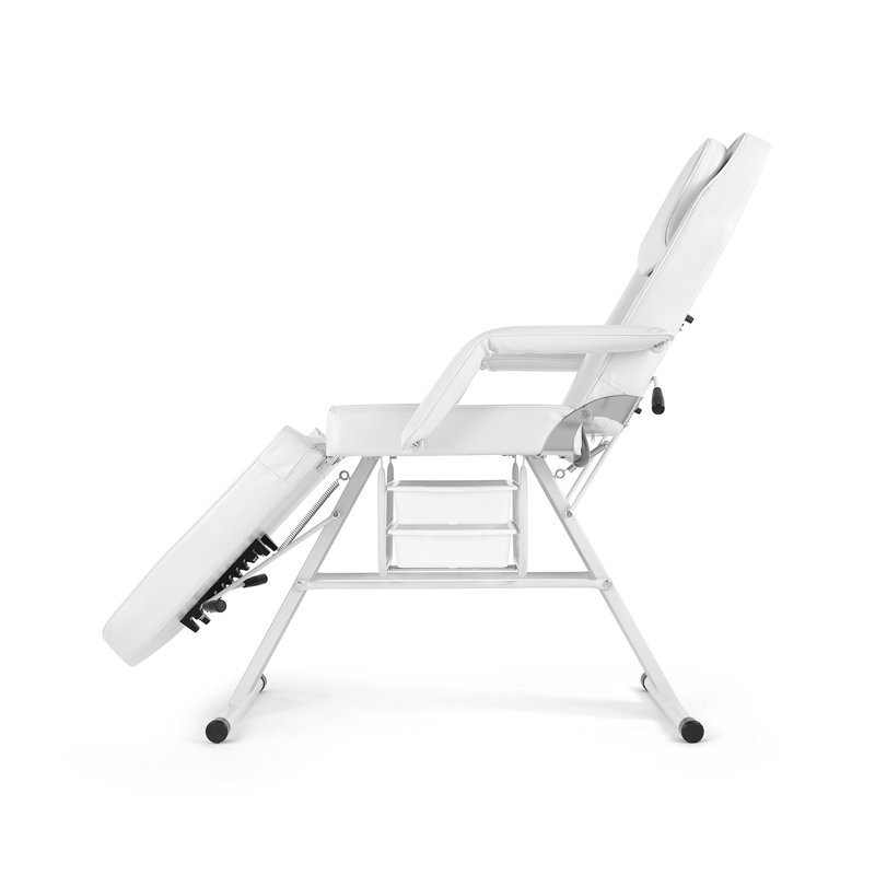 Gotthart Multipurpose Facial Chair, Massage Bed