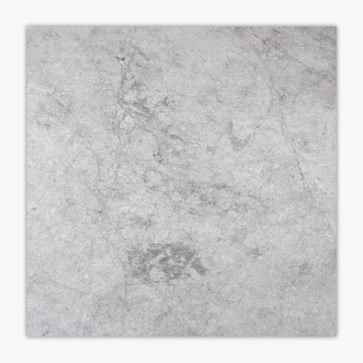 24 in. x 24 in. Marble Tile