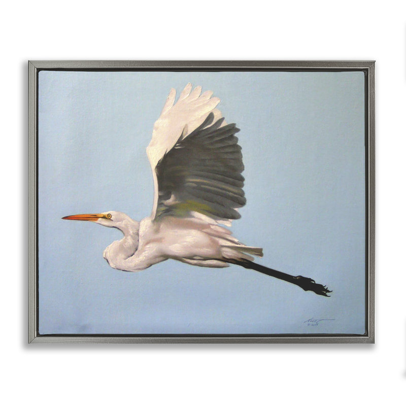 «Graceful Egret Flying Canvas» par D. Rust, Cadre flottant gris lustré, H 25 po x l 31 po