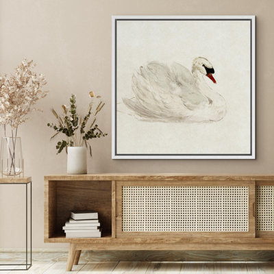 Animals " Elegant Swan In Repose "