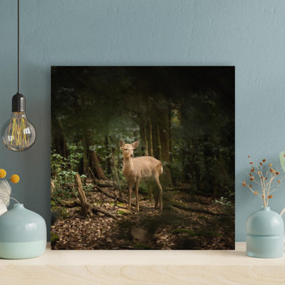 " Brown Deer 14 "