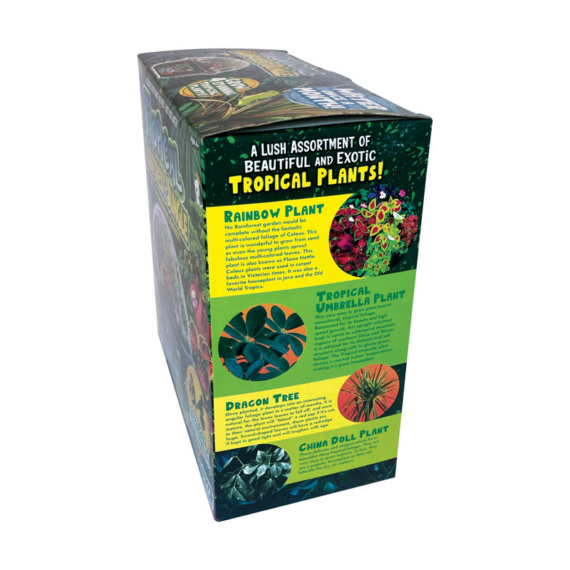 Biarium Terrarium - jungle tropicale