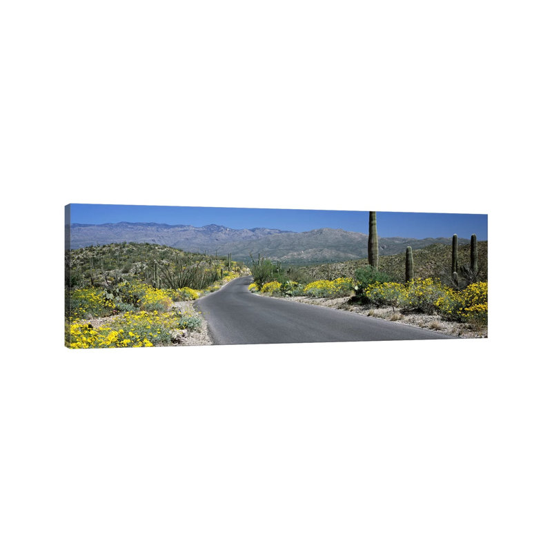 Road Passing Through A Landscape, Saguaro National Park, Tucson, Pima County, Arizona, USA - Wrapped Canvas Panoramic Print