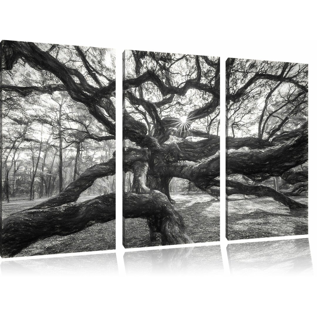 3-tlg. Leinwandbild-Set „Gigantisch verwzeigter Baum“, Kunstdruck