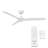 54" Blitzen 3 - Blade Smart Ceiling Fan With Remote Control Included, Works With Google Assistant, Amazon Alexa, iOS And Android APP-56616320-55354972