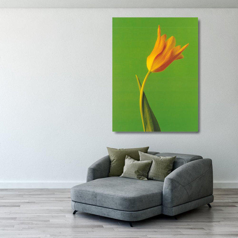Tulipe, H 37 po x l 28 po