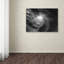« searching light i », reproduction de photo sur toile tendue-11857763