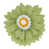 Limette