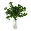 Nature's Elegance Faux Boxwood Plant in Glass Vase