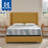 Sealy Dreamlife 10” Medium-Firm Hybrid Mattress-in-a-Box-99281000
