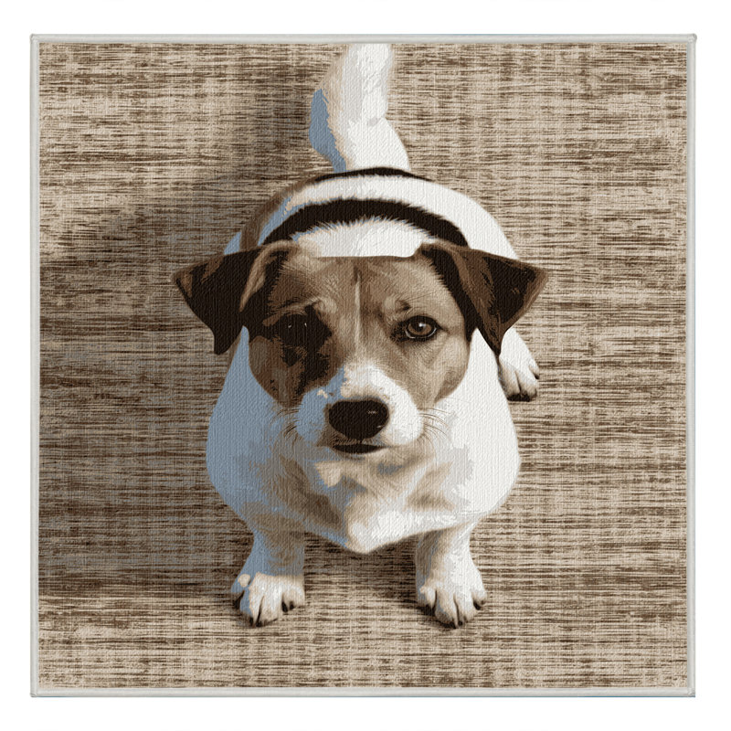 Tapis lavable Fox Terrier pour chien, Rectangulaire 2 pi x 3 pi