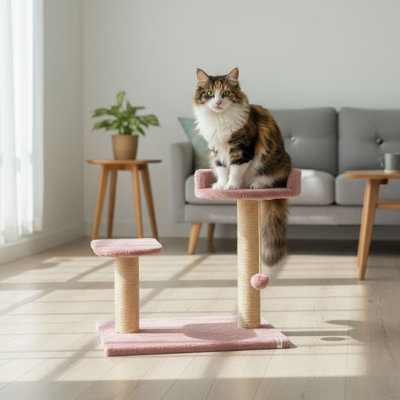 Grattoir pour chat