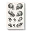 Human, Monkey And Ape Skulls - Wrapped Canvas-55310901