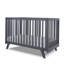 Sorelle Luce 2-in-1 Convertible Crib-1578885137