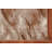 Transitional Oriental Rug 4x6