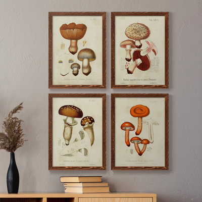 Mushroom Variétés I - Ensemble de 4 reproductions d'art sur toile encadrées